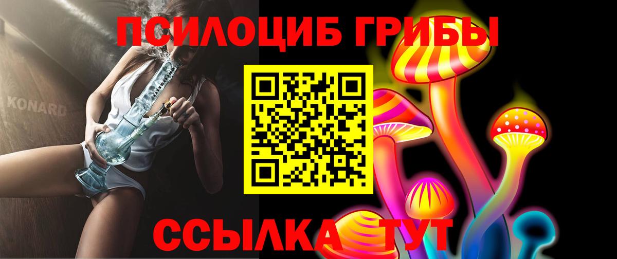 Галлюциногенные грибы прущие грибы Сочи